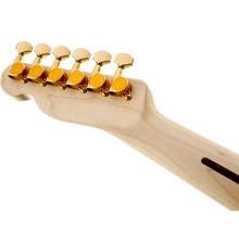 Load image into Gallery viewer, Fender 025-5202-532 Richie Kotzen Signature MIJ Tele, Brown Sunburst-Easy Music Center