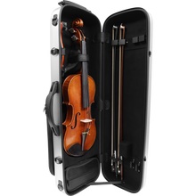 Load image into Gallery viewer, Maple Leaf Strings CVN8003O-RED 4/4 Violin Oblong Vector Case Rose Red-Easy Music Center