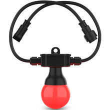 Load image into Gallery viewer, Chauvet FESTOON2RGB Festoon 2 RGB Decor lighting System, IP54 Rated, 20 Bulbs-Easy Music Center