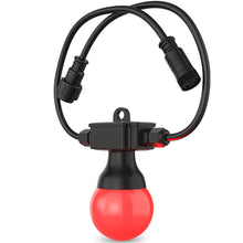 Load image into Gallery viewer, Chauvet FESTOON2RGB Festoon 2 RGB Decor lighting System, IP54 Rated, 20 Bulbs-Easy Music Center