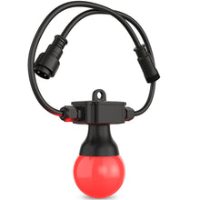 Load image into Gallery viewer, Chauvet FESTOON2RGB Festoon 2 RGB Decor lighting System, IP54 Rated, 20 Bulbs-Easy Music Center