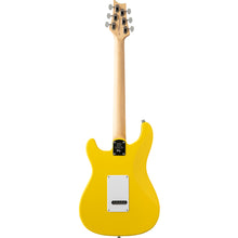 Load image into Gallery viewer, PRS J2R1R SE Silver Sky, Dandy Lion-Easy Music Center