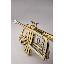 Load image into Gallery viewer, S.E. Shires STRA10 A-Series Student Trumpet-Easy Music Center