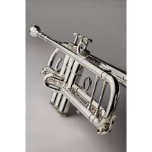 Load image into Gallery viewer, Shires TRQ10S Professional Trumpet-Easy Music Center