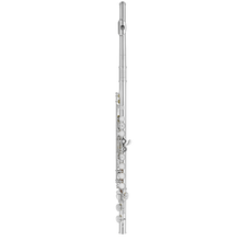 Load image into Gallery viewer, Haynes AF480 Amadeus Student Flute-Easy Music Center