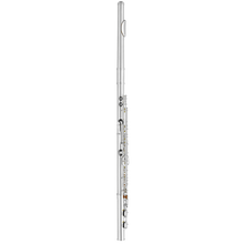 Load image into Gallery viewer, Haynes AF480 Amadeus Student Flute-Easy Music Center