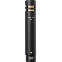 Load image into Gallery viewer, Audix F9 All-purpose Pencil Condenser Microphone-Easy Music Center