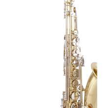 Load image into Gallery viewer, Selmer STS301 Premium Student Tenor Saxophone-Easy Music Center
