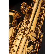 Load image into Gallery viewer, Selmer Paris 82SIG Signature Alto Saxophone-Easy Music Center