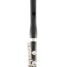 Load image into Gallery viewer, Selmer SPC711 Professional Grenadilla Piccolo-Easy Music Center