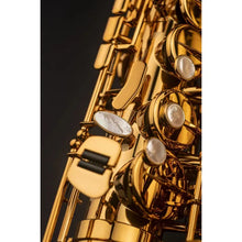 Load image into Gallery viewer, Selmer Paris 82SIG Signature Alto Saxophone-Easy Music Center