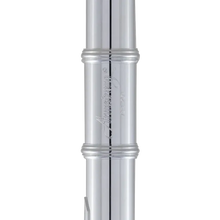 Load image into Gallery viewer, Armstrong AFL201 Student Flute-Easy Music Center