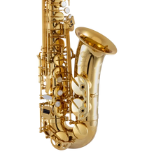 Load image into Gallery viewer, Selmer Paris 82SIG Signature Alto Saxophone-Easy Music Center