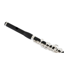 Load image into Gallery viewer, Selmer SPC711 Professional Grenadilla Piccolo-Easy Music Center