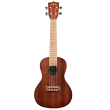 Load image into Gallery viewer, Easy Music Center Concert Ukulele Bundle-Easy Music Center