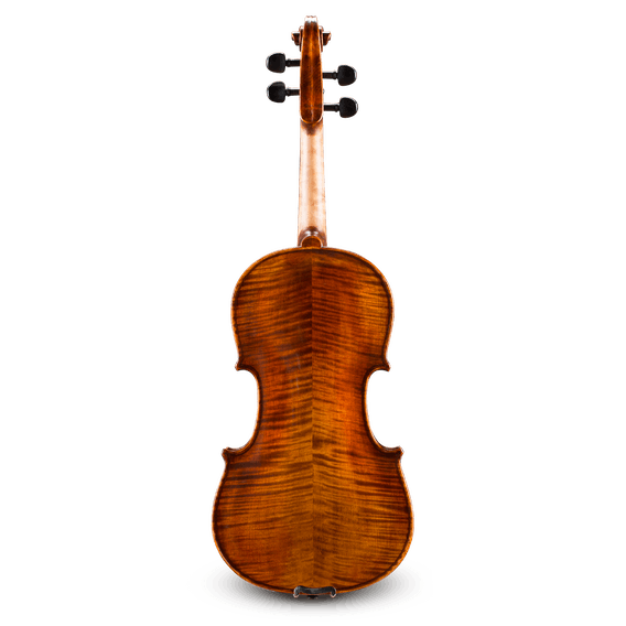 Andreas Eastman VL305SBC-4/4 Violin Outfit – Easy Music Center