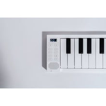Load image into Gallery viewer, Carry-On FOLDPIANO88 88-Key Collapsible Folding Piano Keyboard, White-Easy Music Center