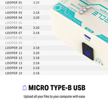 Load image into Gallery viewer, Donner EC1289 Circle Looper Pedal w/ Drum Machine-Easy Music Center
