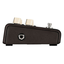 Load image into Gallery viewer, LR Baggs ALIGN-DELAY Delay Effect Pedal for Acoustic Instruments-Easy Music Center