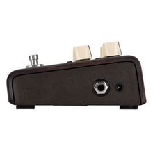 Load image into Gallery viewer, LR Baggs ALIGN-DELAY Delay Effect Pedal for Acoustic Instruments-Easy Music Center