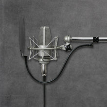 Load image into Gallery viewer, Stedman PS101 Proscreen Pop Filter-Easy Music Center