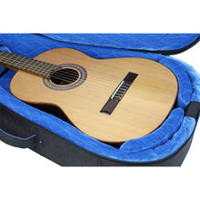 Load image into Gallery viewer, Reunion Blues RBCC3 Voyager Small Body Acoustic or Classical Case-Easy Music Center