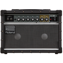 Load image into Gallery viewer, Roland JC-22 Jazz Chorus Amp - 30w, 2x6.5 in.-Easy Music Center
