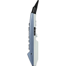 Load image into Gallery viewer, Roland AE-01 Aerophone Mini Electronic Wind Instrument-Easy Music Center