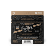 Load image into Gallery viewer, D'addario EJ45 Pro-Art Nylon, Normal Tension, Tie-end-Easy Music Center
