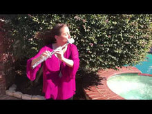 Load and play video in Gallery viewer, Win-D-Fender WINDFENDER for Flute - Flute Shield