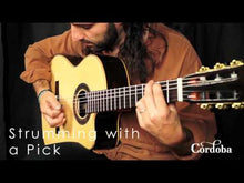 Load and play video in Gallery viewer, Cordoba GK-STUDIO-NEGRA Gypsy King Signature Solid Spruce top RW B/S Flamenco Guitar