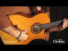 Load and play video in Gallery viewer, Cordoba C5-CE Acoustic-Electric Full Size Classical Guitar