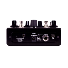 Load image into Gallery viewer, Source Audio SA260 One Series Nemesis Delay-Easy Music Center