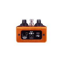 Load image into Gallery viewer, Source Audio SA246 One Series AfterShock Bass Distortion-Easy Music Center