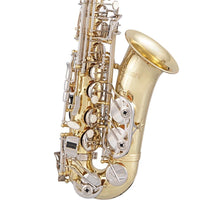 Load image into Gallery viewer, Selmer SAS301 Student Alto Saxophone-Easy Music Center