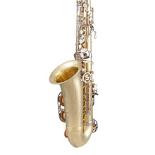 Load image into Gallery viewer, Selmer SAS301 Student Alto Saxophone-Easy Music Center