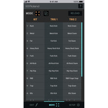 Load image into Gallery viewer, Roland TM-1 Percussion Trigger Module-Easy Music Center
