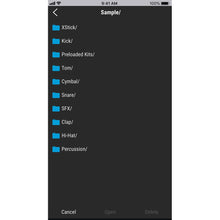 Load image into Gallery viewer, Roland TM-1 Percussion Trigger Module-Easy Music Center