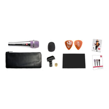 Load image into Gallery viewer, sE Electronics V7-BFG Billy Gibbons Sig V7 Handheld Dynamic Supercardioid Mic-Easy Music Center