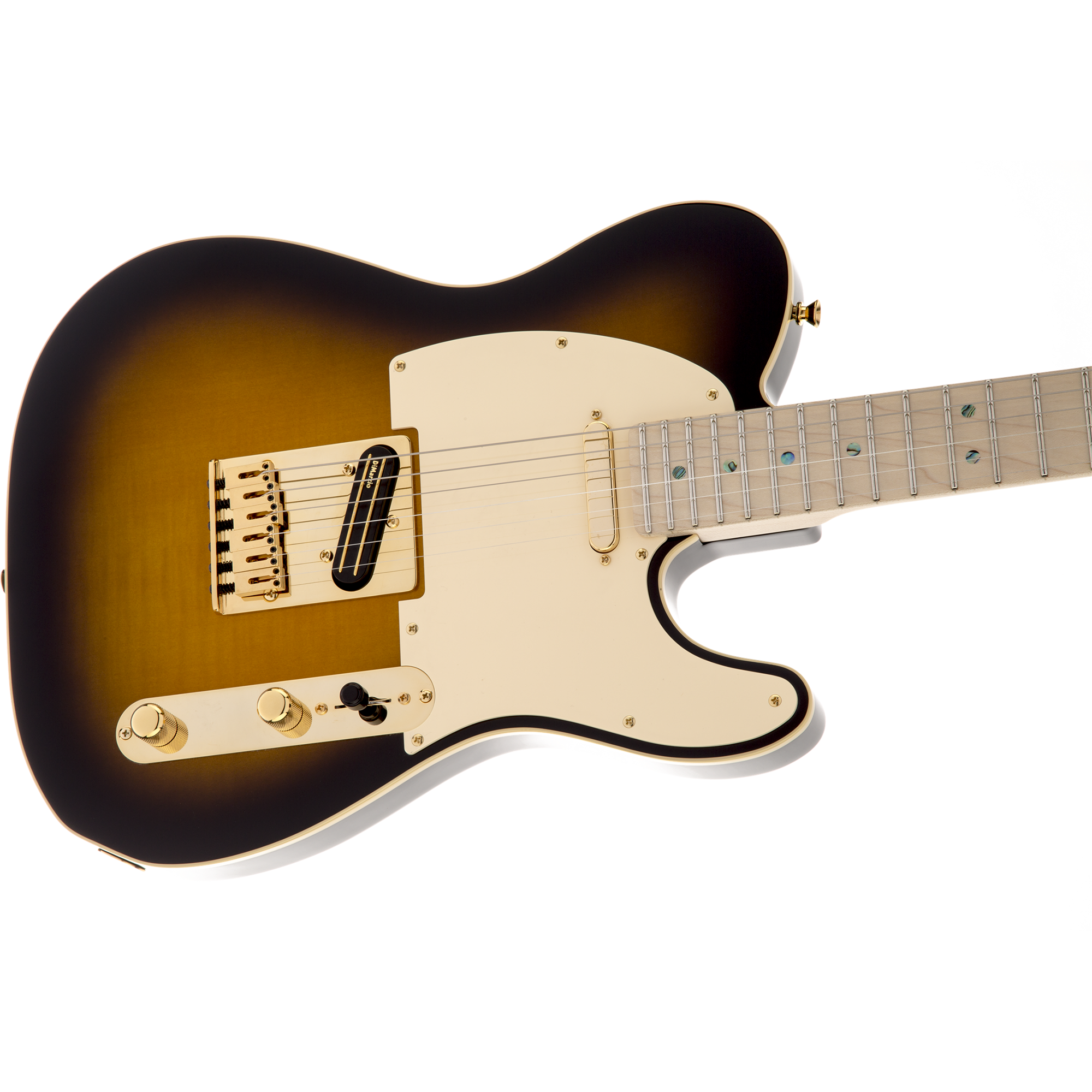 Fender 025-5202-532 Richie Kotzen Signature MIJ Tele, Brown Fender 025-5202-532 Richie Kotzen Signature MIJ Tele, Brown