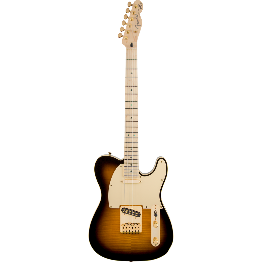 Fender 025-5202-532 Richie Kotzen Signature MIJ Tele, Brown Fender 025-5202-532 Richie Kotzen Signature MIJ Tele, Brown