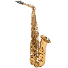 Load image into Gallery viewer, Selmer Paris 82SIG Signature Alto Saxophone-Easy Music Center
