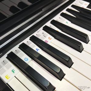 EMC KEY-LABEL-61 61-key Silicone Piano Keyboard Note Labels-Easy Music Center