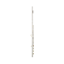Load image into Gallery viewer, Eastman EFL320-BO Advanced Flute-Easy Music Center
