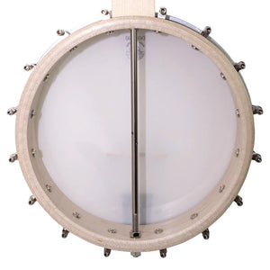 Deering Banjo D-G Goodtime 5-String Openback-Easy Music Center