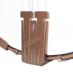 Deering Banjo D-G Goodtime 5-String Openback-Easy Music Center