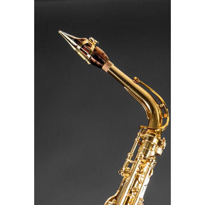 Vandoren SM913TI Limited Edition AP3 Titanium Alto Sax Mouthpiece-Easy Music Center