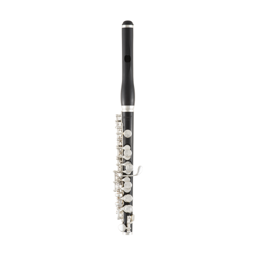 Selmer SPC711 Professional Grenadilla Piccolo-Easy Music Center