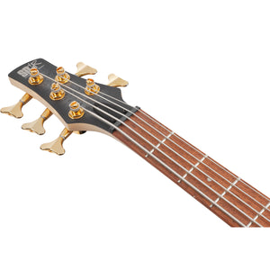 Ibanez SR305EDXBZM SR Standard 5-string Bass, Black Ice Frozen Matte-Easy Music Center