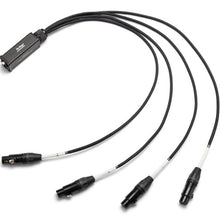 Load image into Gallery viewer, On-Stage TMP-OSPRO-SNK4CF Produciton-Grade Snake Signal Cable (Female)-Easy Music Center
